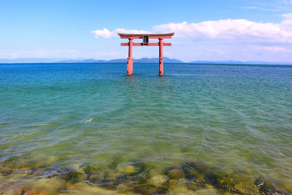 2大紅葉めぐり!赤の絨毯!鶏足寺「もみじの旧参道」とマキノピックランド「メタセコイア並木」の紅葉【河内磐船・枚方市・JR高槻】3